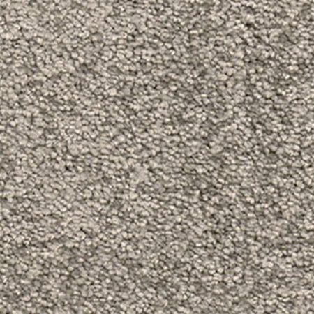 Graubaun
