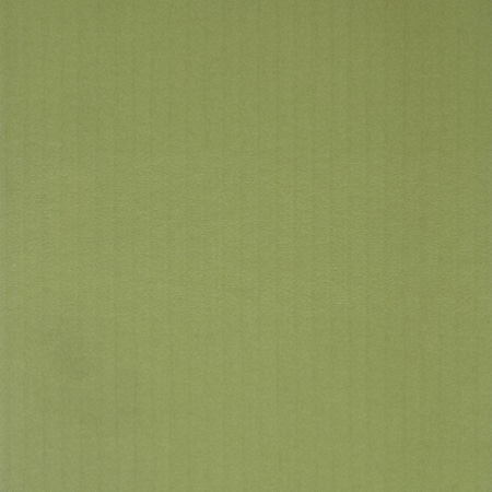 Limette